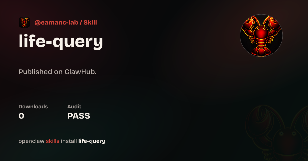 Security audit · Life Query — ClawHub